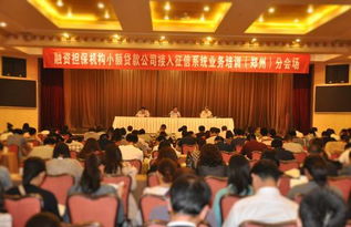鄭州融資性擔(dān)保機(jī)構(gòu)助力小微企業(yè)融資 政策支持與市場(chǎng)前景分析